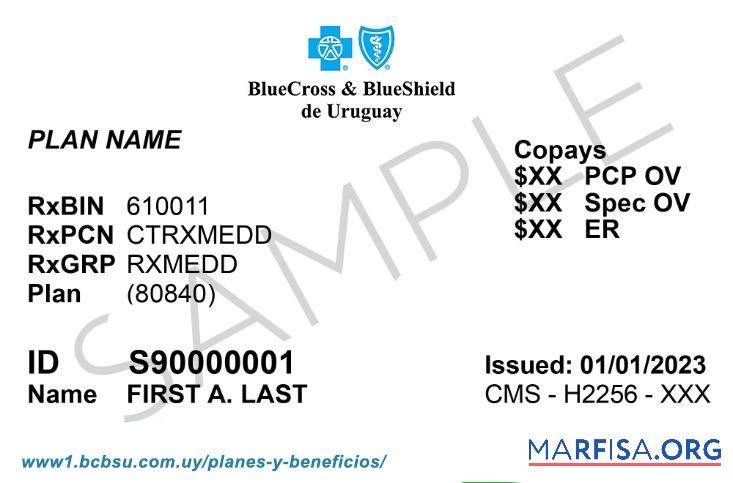 Realistic Uruguay health insurance card template
